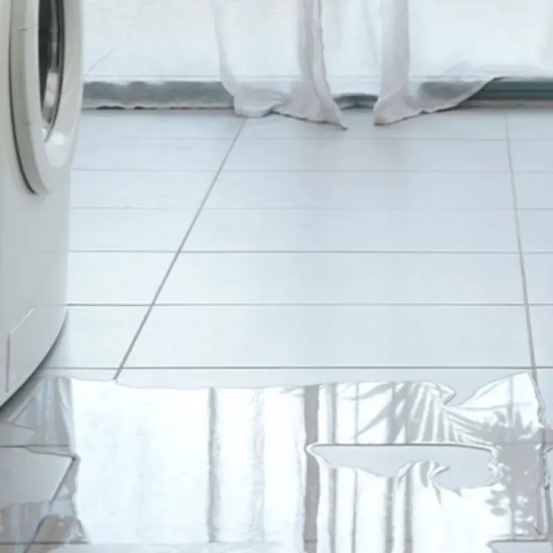Appliance Leak Cleanup in Graceville, FL