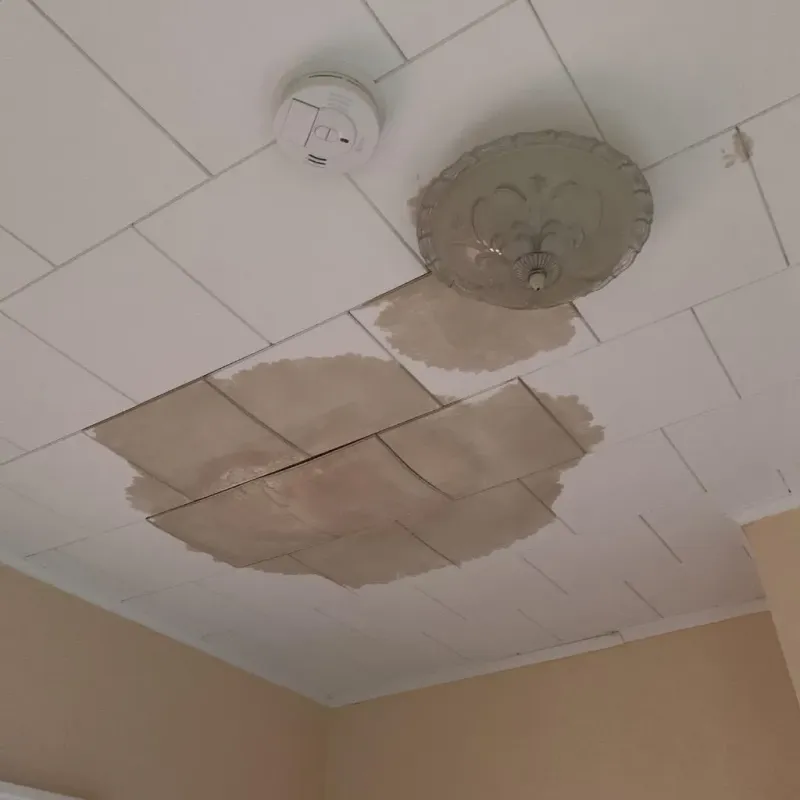 Ceiling Water Damage Repair in Graceville, FL